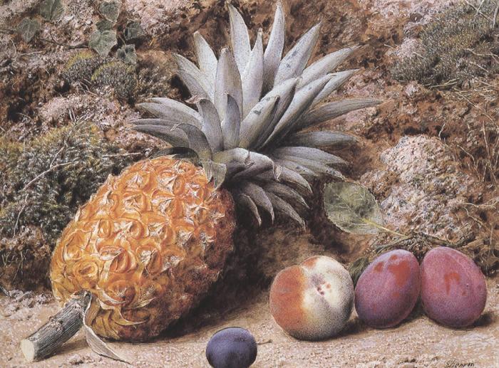 John Sherrin A Pineapple,a Peach and Plums on a mossy Bank (mk37) oil painting picture
